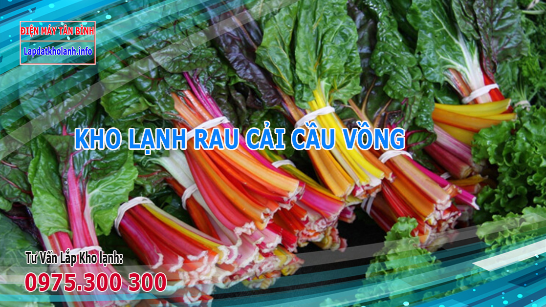 Những lưu lý khi chọn lắp kho lạnh bảo quản Cải Cầu Vồng