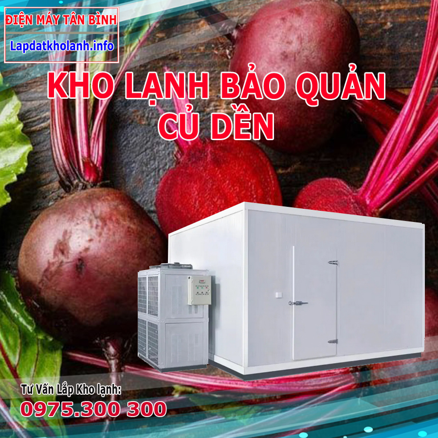 lắp đặt kho lạnh bảo quản củ dền