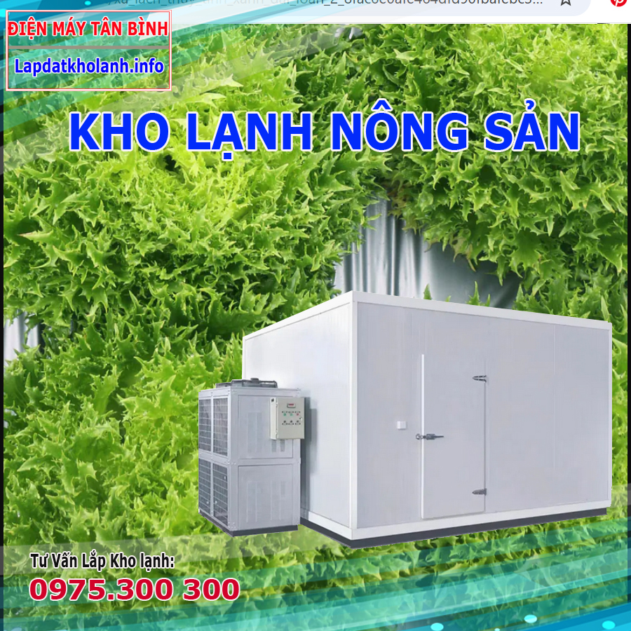 lắp đặt kho lạnh nông sản