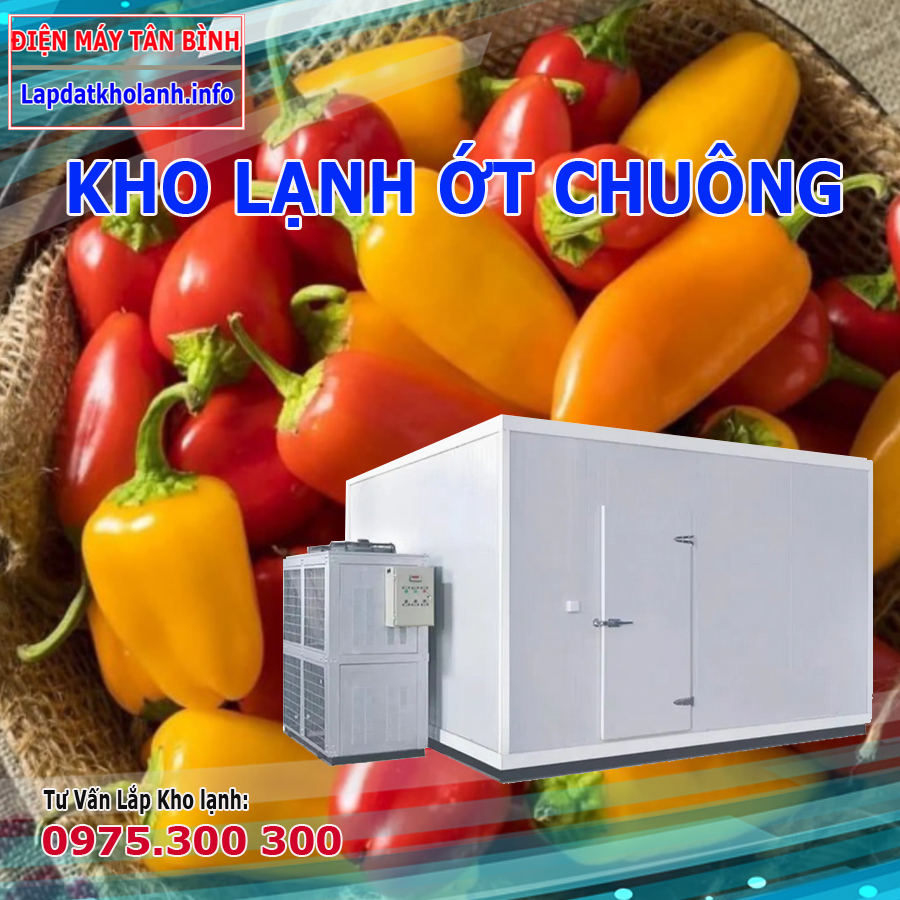 Lắp đặt kho lạnh bảo quản ớt chuông baby