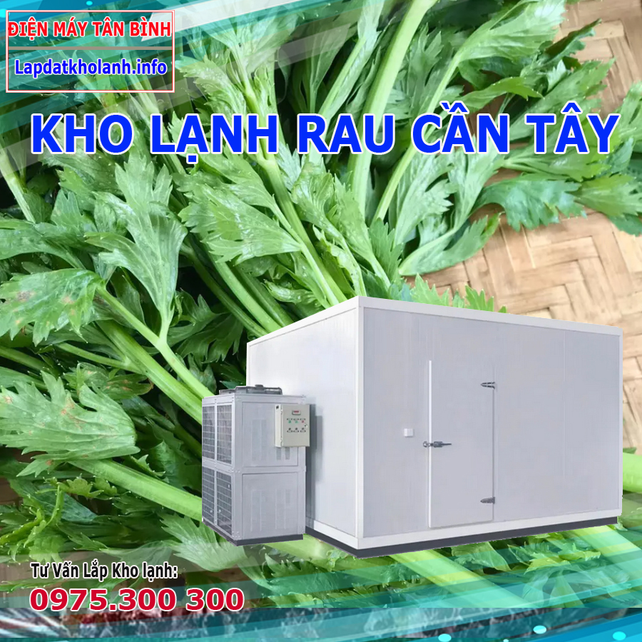 Những lưu ý khi lắp đặt kho lạnh bảo quản rau Cần Tây