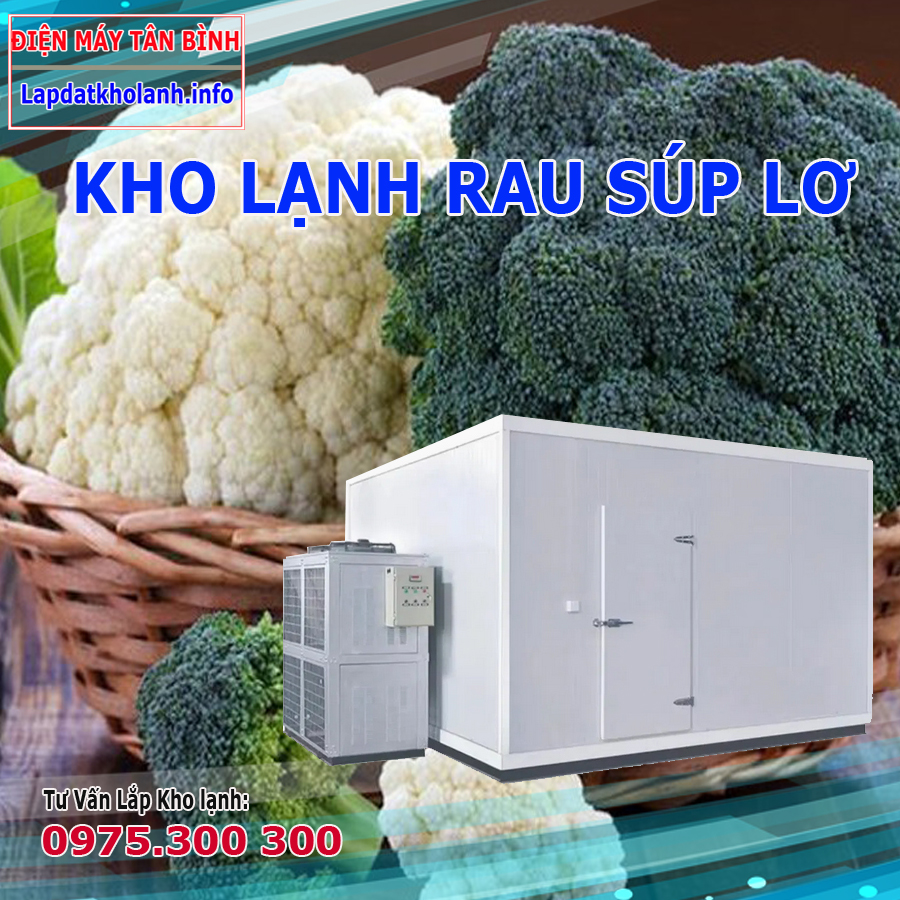 lắp đặt kho lạnh bảo quản súp lơ