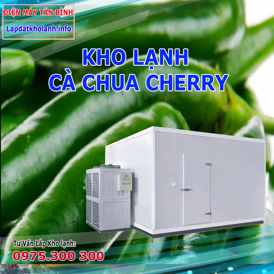 Lắp đặt kho lạnh bảo quản cà chua cherry