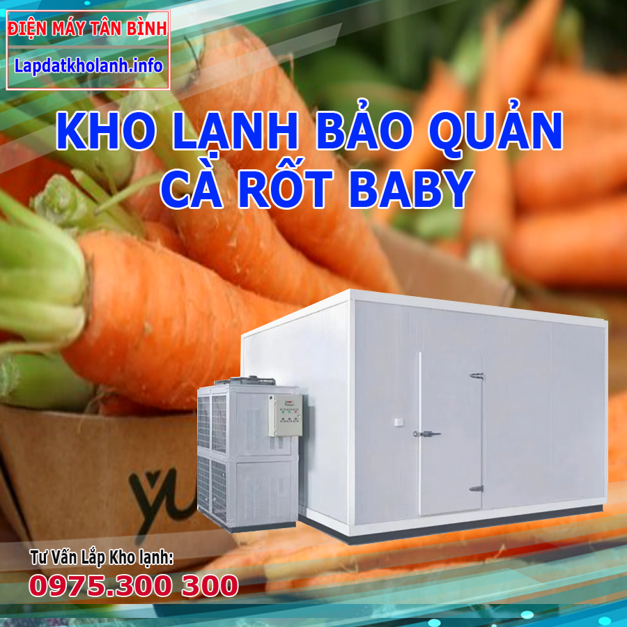 Lắp đặt kho lạnh bảo quản cà rốt baby
