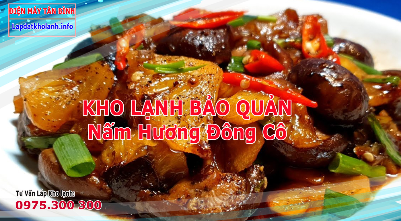 Các món ăn từ nấm hương đông cô tươi