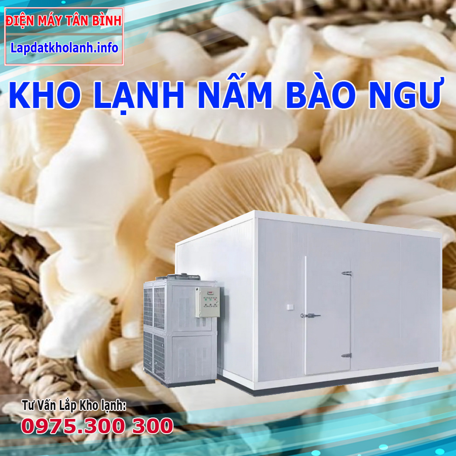 Thiết kế lắp đặt kho lạnh bảo quản nấm bào ngư trắng