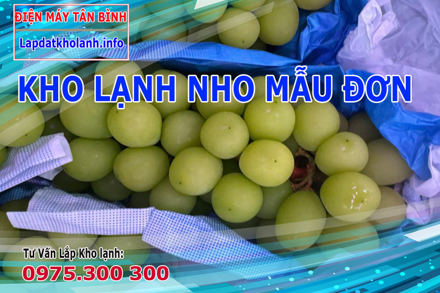 Bảo quản Nho mẫu đơn Shine Muscat Nhật Bản trong kho lạnh