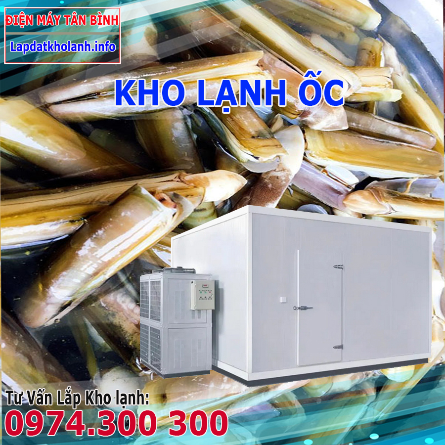 Lắp Đặt Kho Lạnh bảo quản Ốc Móng Tay tươi và Đông Lạnh