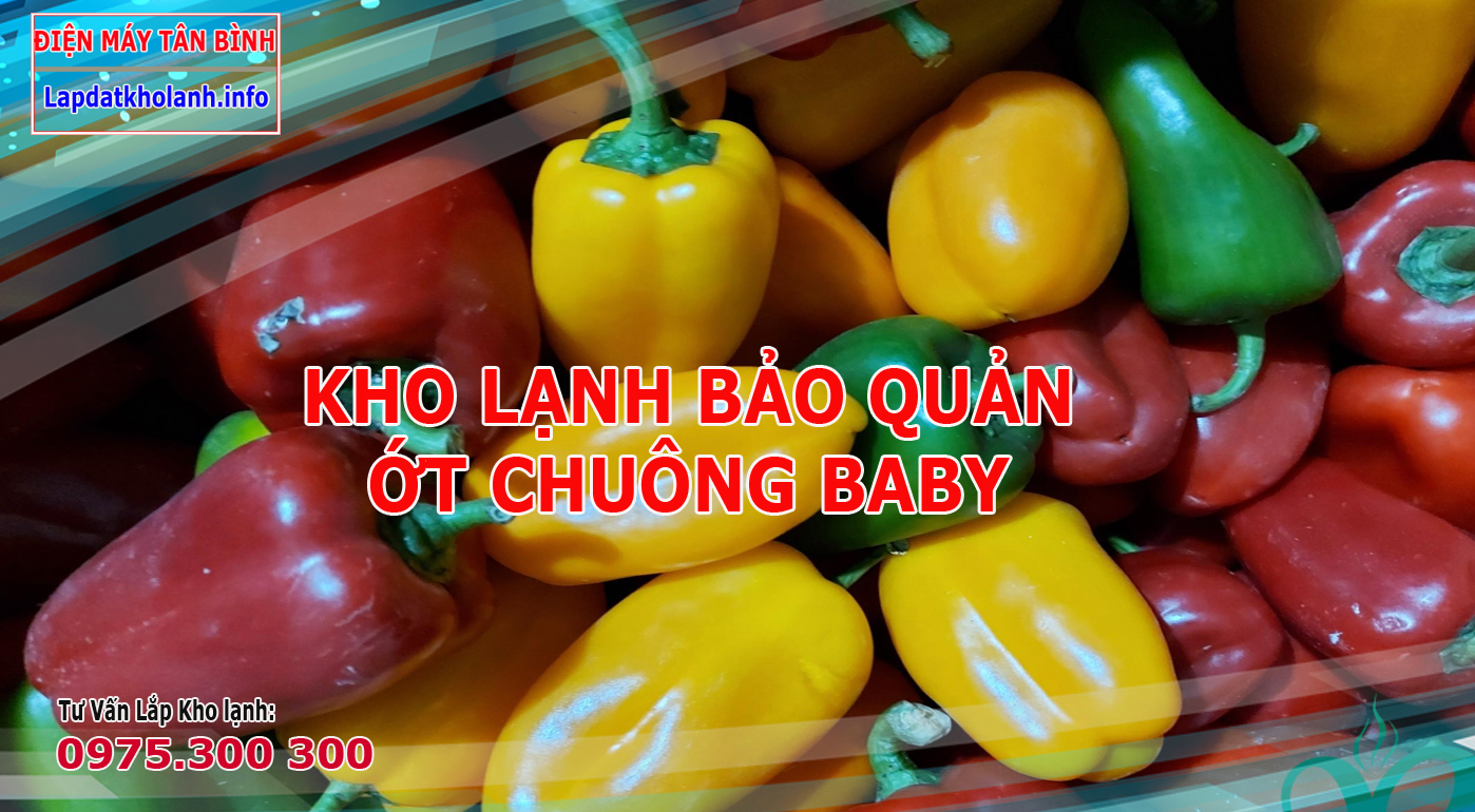 Những điều cần lưu ý khi bảo quản Ớt Chuông Baby trong kho lạnh