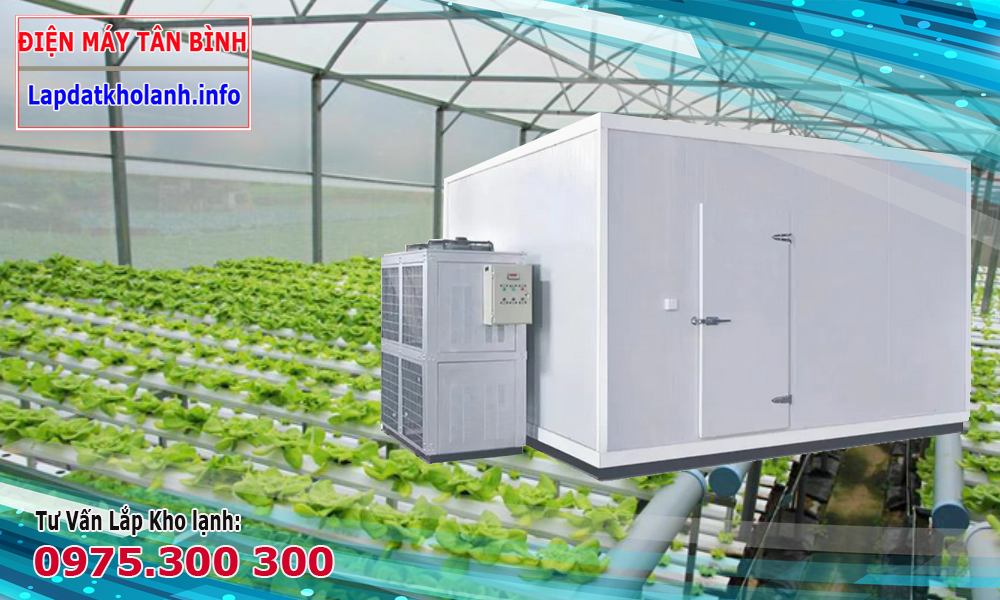 kho lạnh bảo quản rau đà lạt