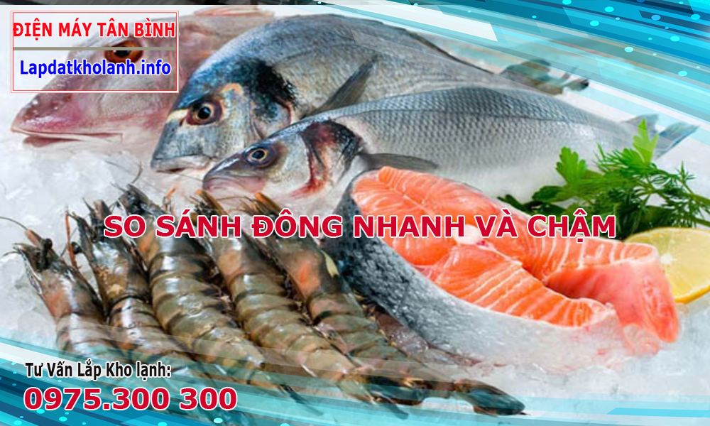 so sánh sự đông nhanh và đông chậm
