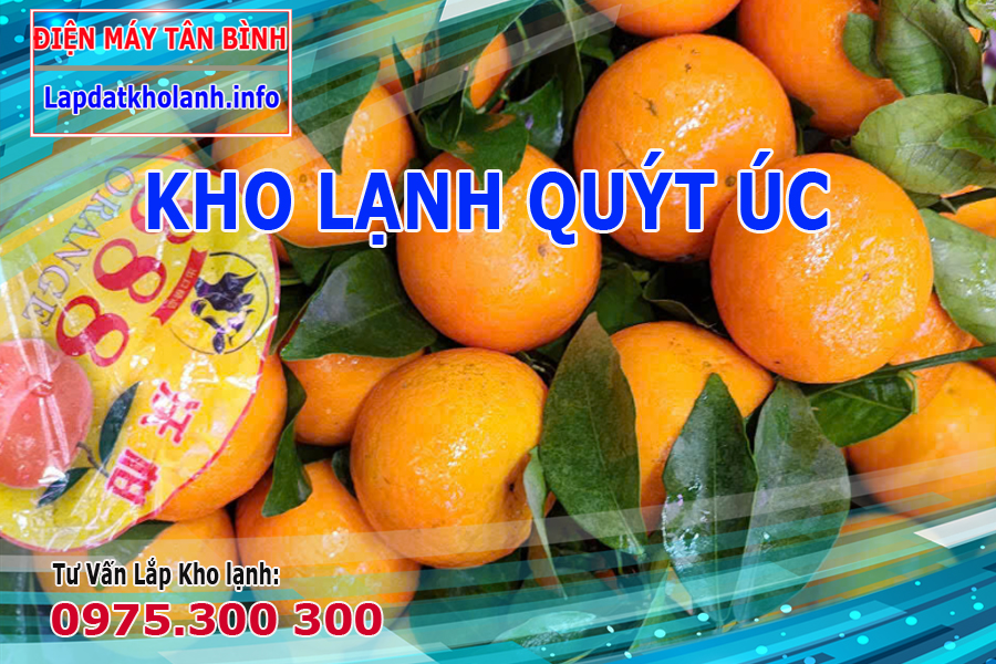 Quýt Úc bao nhiều 1 thùng, bảo quản Quýt Úc trong kho lạnh nhiệt độ bao nhiêu