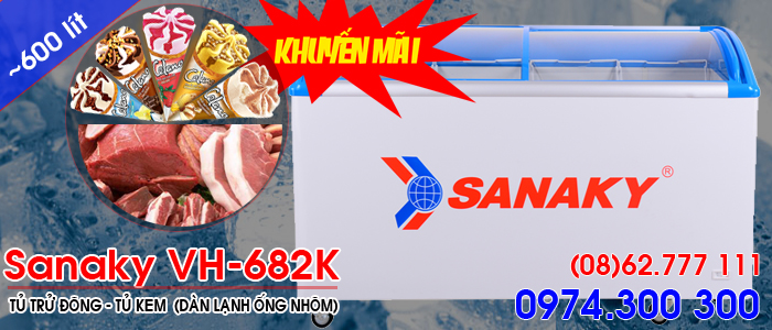Tủ đông kem có kính lùa Sanaky VH-682K