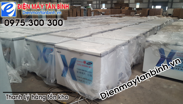 Tủ đ&ocirc;ng Nexwell thanh l&yacute; h&agrave;ng tồn
