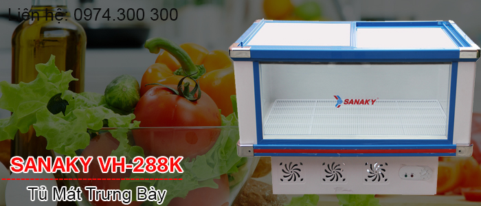 Tủ mát trưng bày thực phẩm Sanaky VH-288k