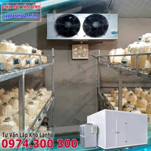 Lắp kho lạnh trồng Nấm Rơm, Đùi Gà, Nấm Hương,Bào Ngư