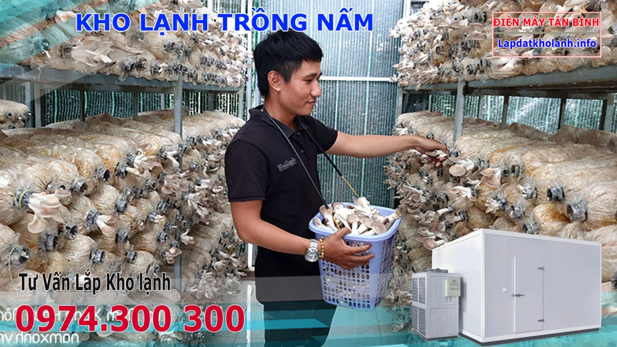 Lắp kho lạnh trồng Nấm Rơm, Đùi Gà, Nấm Hương,Bào Ngư 6 Lắp kho lạnh trồng Nấm Rơm, Đùi Gà, Nấm Hương,Bào Ngư