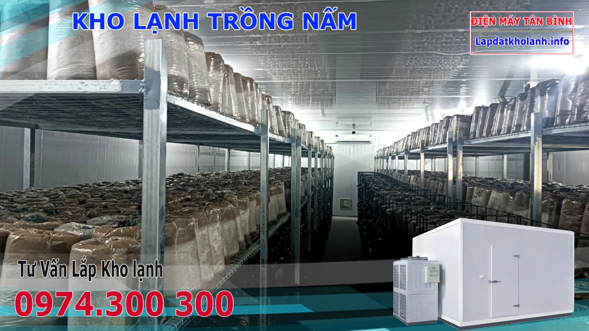 Lắp kho lạnh trồng Nấm Rơm, Đùi Gà, Nấm Hương,Bào Ngư 7 Lắp kho lạnh trồng Nấm Rơm, Đùi Gà, Nấm Hương,Bào Ngư