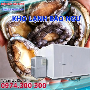 Lắp đặt kho lạnh bảo quản Bào Ngư tươi sống và Đông Lạnh