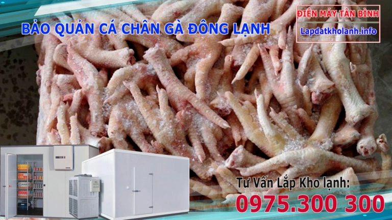 Lắp đặt kho đông bảo quản Chân Cánh Gà đông lạnh cần lưu ý điều gì