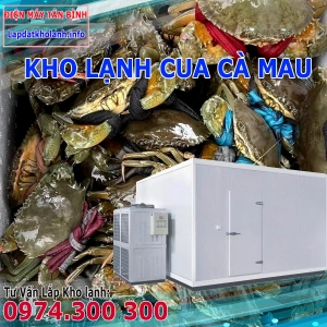 Lắp đặt kho lạnh bảo quản Cua Cà Mau tươi và Đông Lạnh