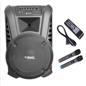 Loa Bluetooth Karaoke di động Caliana TN15 (Loa 40cm)
