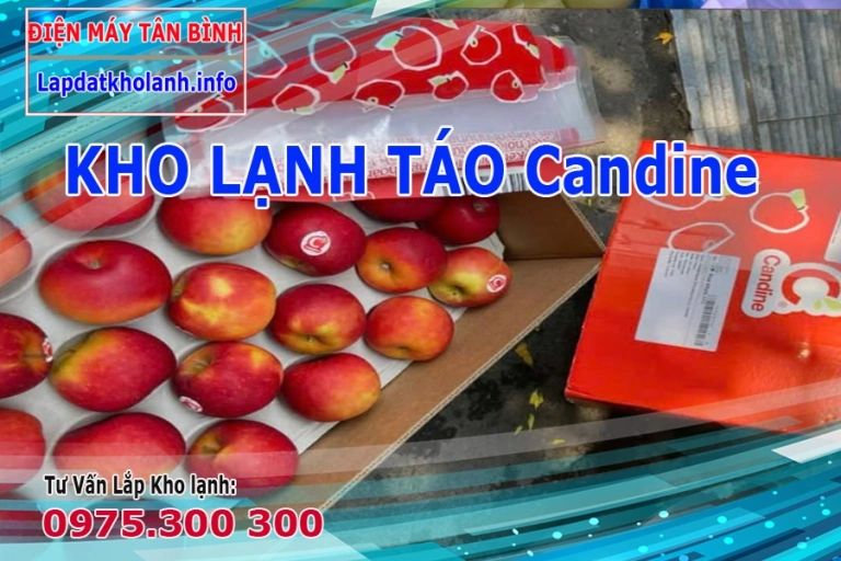 Hướng dẫn Bảo quản Táo Pháp Candine trong kho lạnh đúng cách