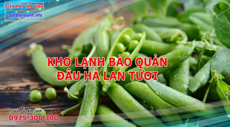 Những lưu ý khi Lắp kho lạnh bảo quản Quả đậu Hà Lan tươi