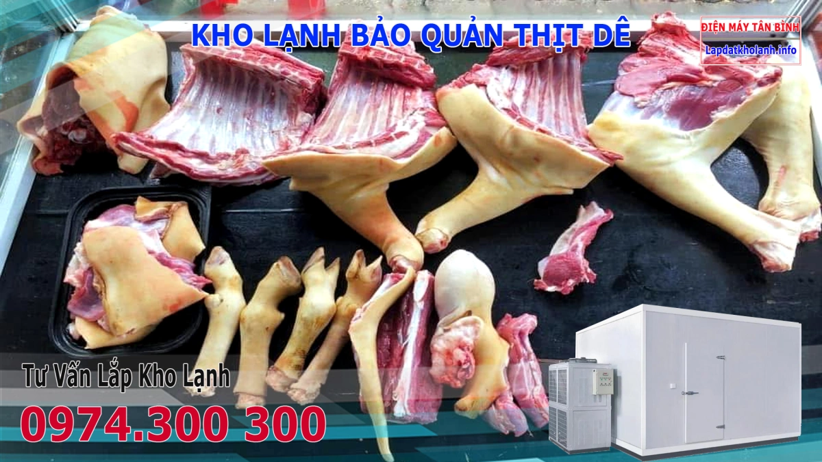 Lắp đặt kho lạnh bảo quản Thịt Dê tươi và Đông Lạnh 6 lắp đặt kho lạnh bảo quản thịt dê tươi đông lạnh