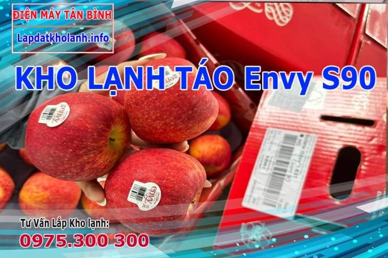 Hướng dẫn Bảo quản Táo Envy S90 tươi lâu trong kho lạnh