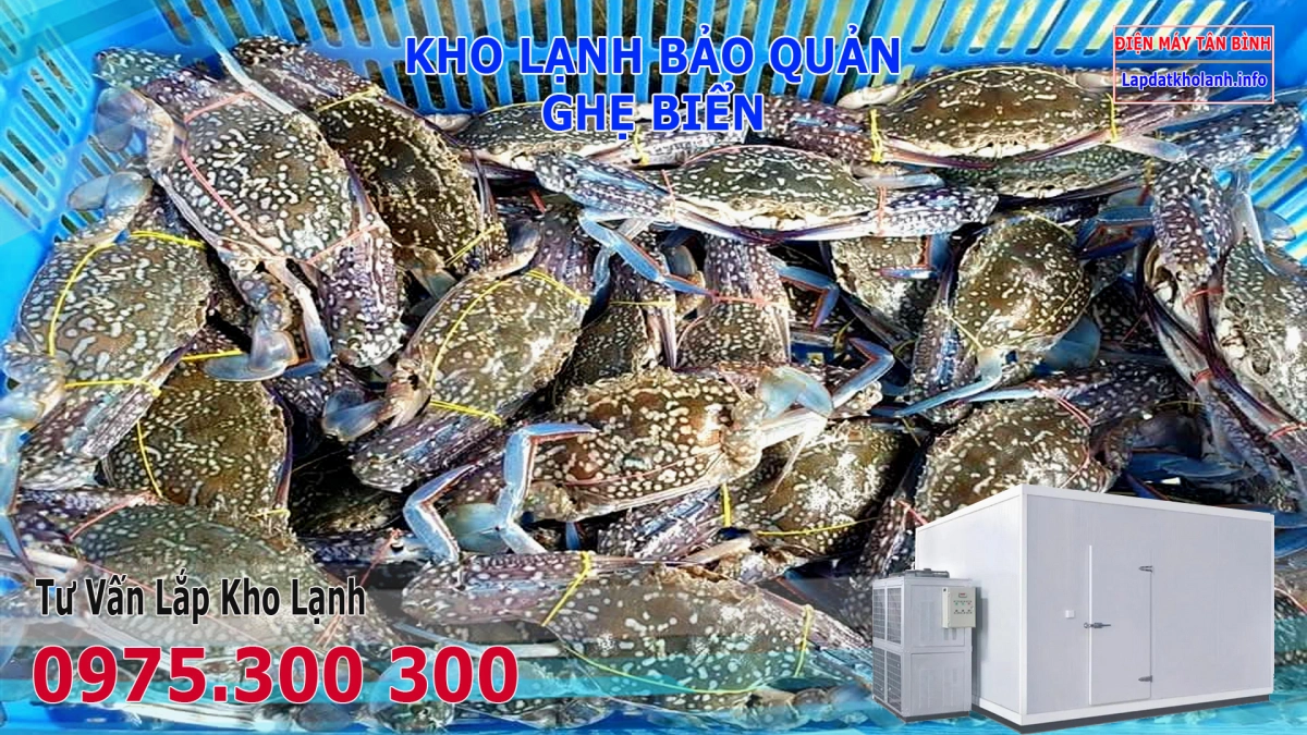 lắp đặt kho lạnh bảo quản ghẹ biển