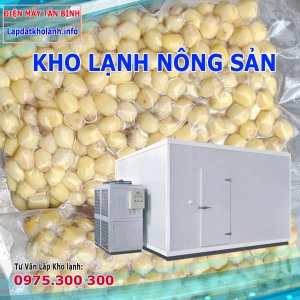 Lắp đặt Kho lạnh bảo quản Hạt Sen tươi