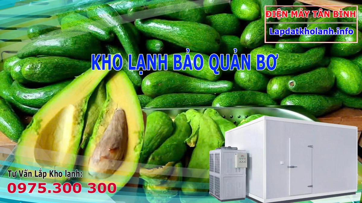 kho lạnh bảo quản Bơ tươi