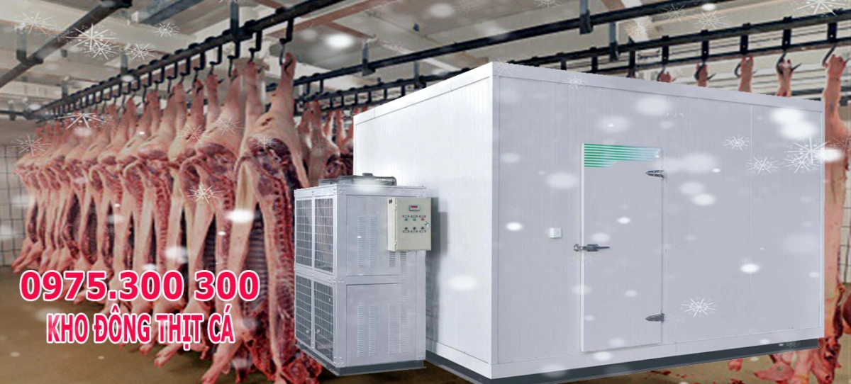 lắp đặt kho đông thịt cá