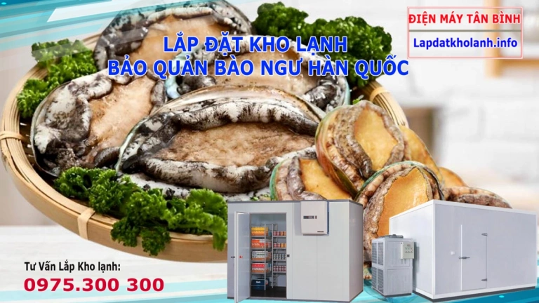 Lắp đặt kho lạnh bảo quản Bào Ngư Hàn Quốc cần lưu ý điều gì