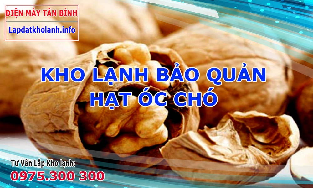 Thiết kế lắp đặt Kho lạnh bảo quản hạt Óc Chó 5 Lắp đặt kho lạnh bảo quản hạt óc chó