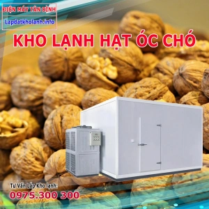Thiết kế lắp đặt Kho lạnh bảo quản hạt Óc Chó