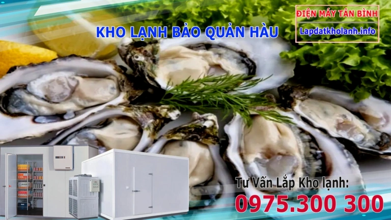 Lắp đặt kho lạnh bảo quản Hàu tươi đúng cách