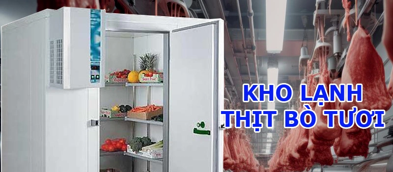 Kho lạnh bảo quản thịt bò, kho đông mềm trử treo thịt bò tươi 5 kho lạnh thịt bò tươi