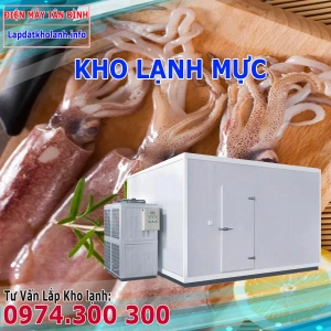 Lắp đặt kho lạnh bảo quản Mực tươi và Đông Lạnh