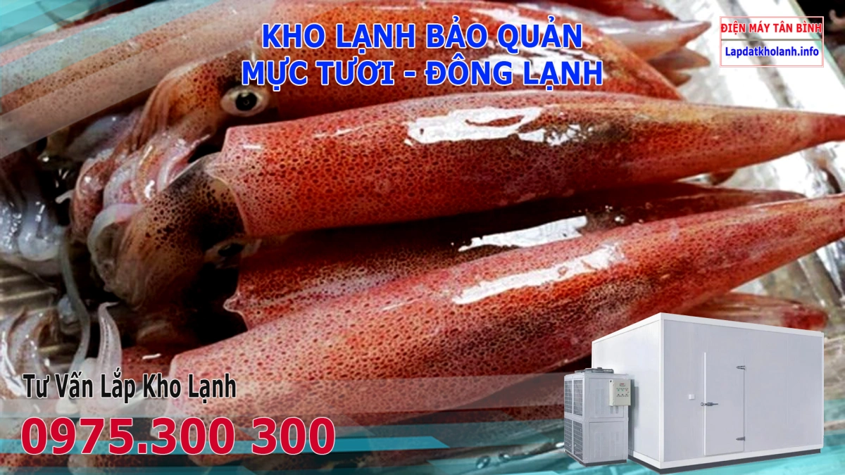 Lắp đặt kho lạnh bảo quản Mực tươi và Đông Lạnh 6 Lắp đặt kho lạnh bảo quản Mực tươi và Đông Lạnh