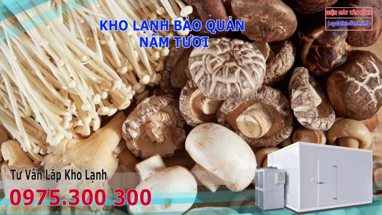 Nấm tươi để trong tủ lạnh được bao lâu, Cách bảo quản nấm tươi lâu