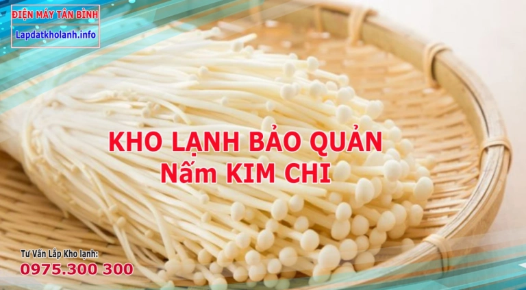 Những lưu ý khi Lắp kho lạnh bảo quản Nấm kim châm