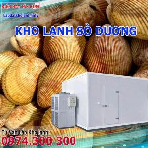 Lắp đặt kho lạnh bảo quản Sò Dương tươi sống và Đông lạnh