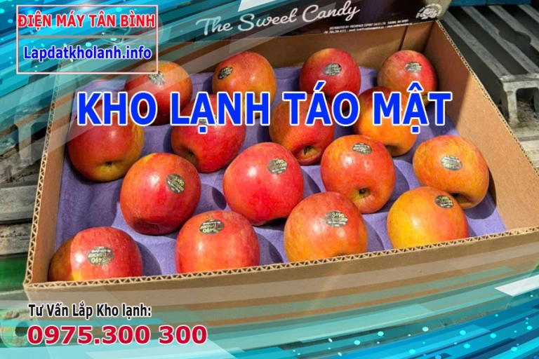 Hướng dẫn Bảo quản Táo Mật Mỹ Ever Crisp đúng cách trong kho lạnh
