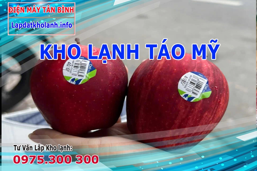 Bảo quản Táo đỏ 5 góc Red Delicious Mỹ như thế nào trong kho lạnh