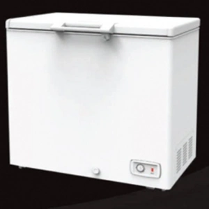 Tủ đông Thái Lan 250L lít Sanden intercool SNQ-0253