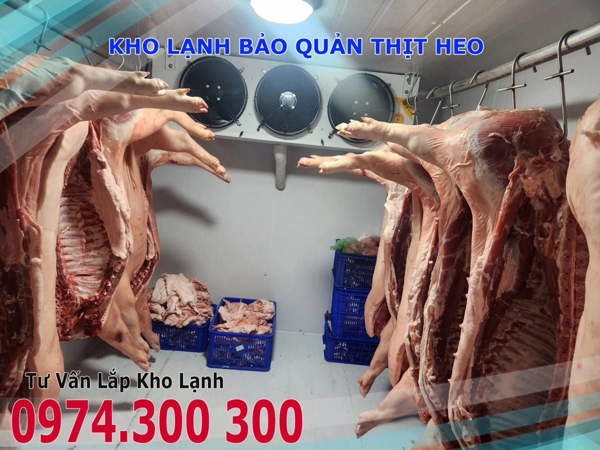 kho lạnh mini 10m3 bảo quản thịt heo