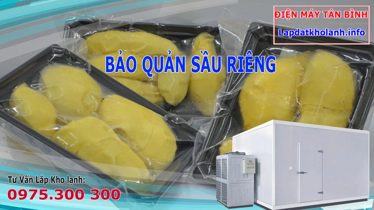 Cách bảo quản sầu riêng trong tủ đông