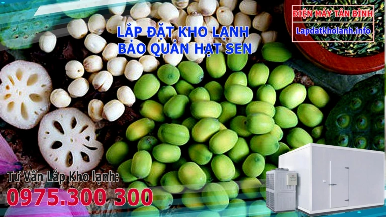 Hạt Sen Tươi Để Ngăn Đá Được Bao Lâu?
